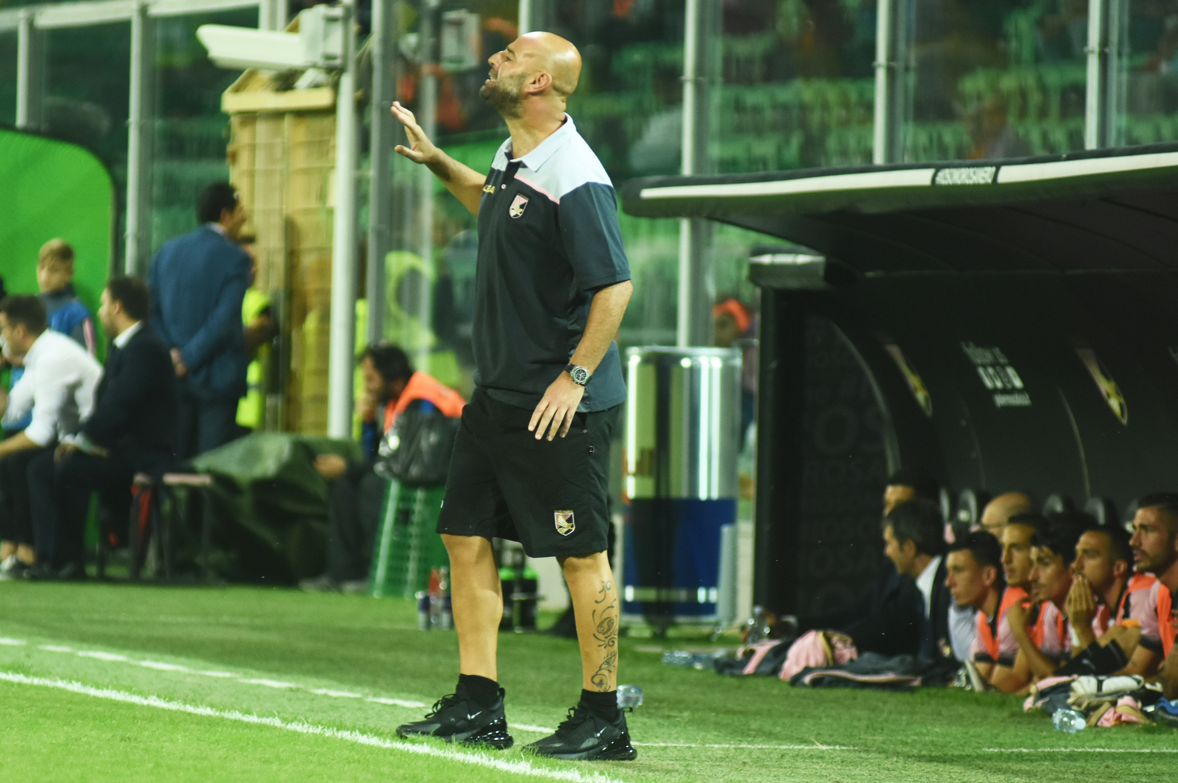 Stellone Palermo Crotone