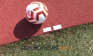 Cittanovese - Palermo si gioca alle ore 15. La società rosanero, infatti, ha chiesto la...