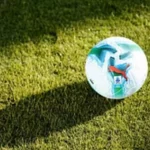 Pisa e Verona retrocedono con tre giornate d’anticipo se… tutte le combinazioni