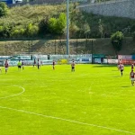 Palermo – Norimberga 0 – 1 / LIVE | Hernani prova l’eurogol