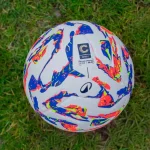 Serie C, ufficiali i gironi: il Catania nel gruppo C, ecco le avversarie
